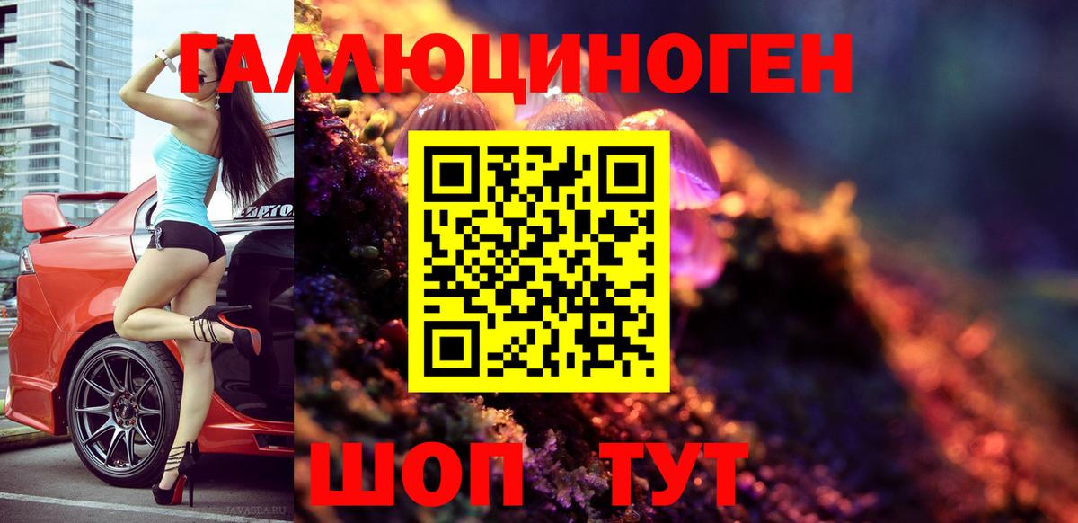 Псилоцибиновые грибы Psilocybine cubensis Омск