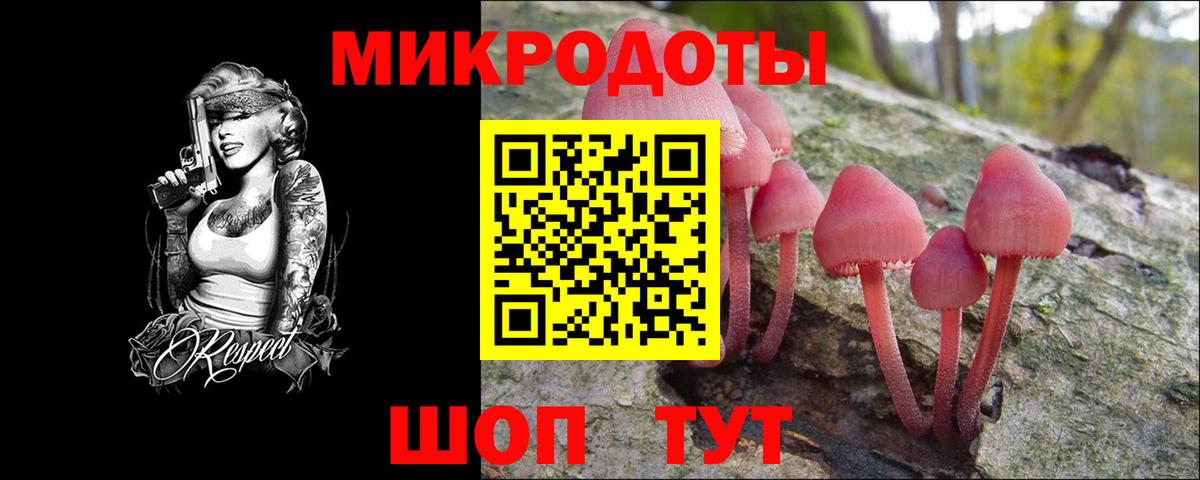 Омск  Псилоцибиновые грибы MAGIC MUSHROOMS  Псилоцибиновые грибы Psilocybe  Вход с VPN 